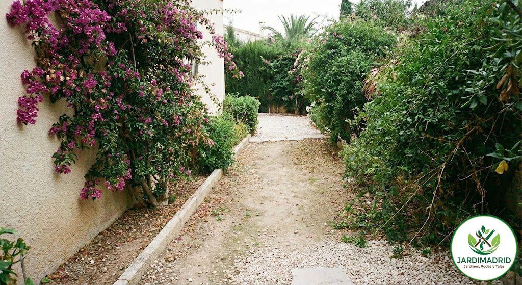 Resultado final tras la modificación y paisajismo del jardín en Madrid